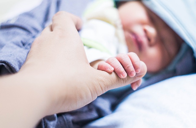 Adoption Law